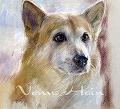 ブラック・ロシアン・テリアにぴったりの愛犬のパステル肖像画６号(