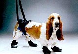 犬用車椅子⇒B.歩行補助 - ウォーカーブーツ（保護ブーツ）XS(2足入り)